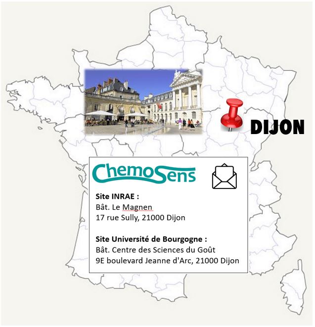 ChemoSens carte Dijon